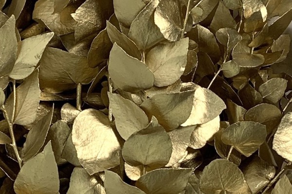 Stuartiana metallizzata - oro