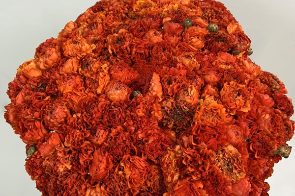 Arancione