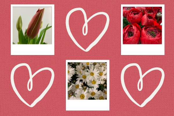 San Valentino e il linguaggio dei fiori