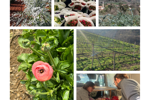 The true value of local growers and the cost behind every flower