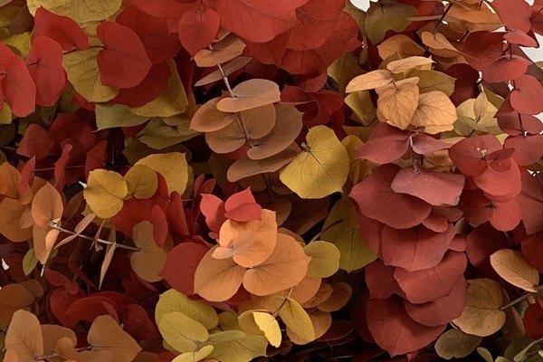 Autunno