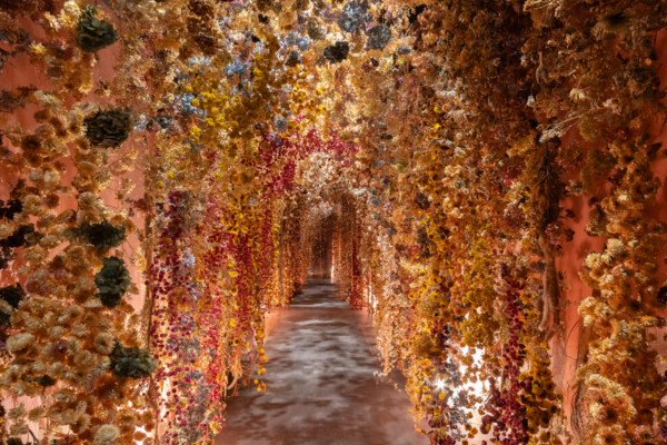 Dal Rinascimento all’intelligenza artificiale: i fiori protagonisti al Chiostro del Bramante