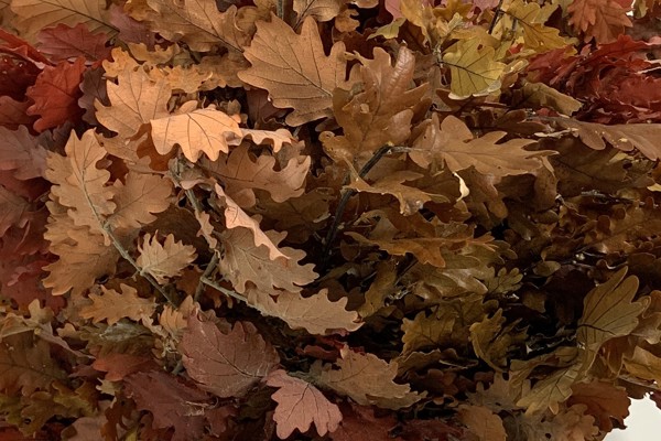 Autunno