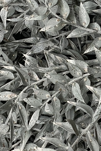 pungitopo metallizzato - bianco