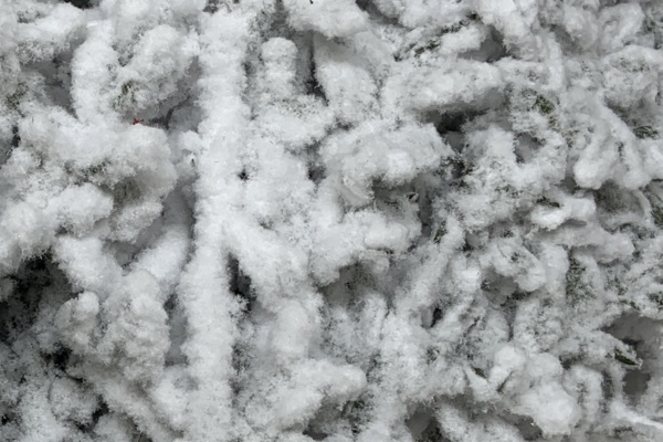 pungitopo fioccato - bianco