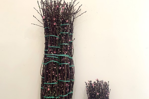 Pesco Rosa lungo/corto