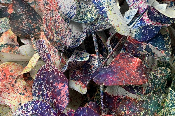 cinerea colorata - picasso