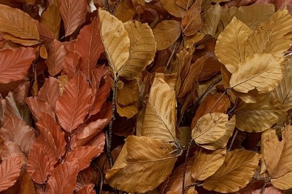 Autunno