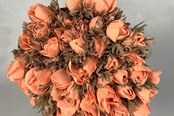Polvere - Apricot