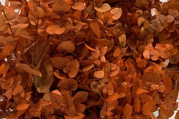 Arancione