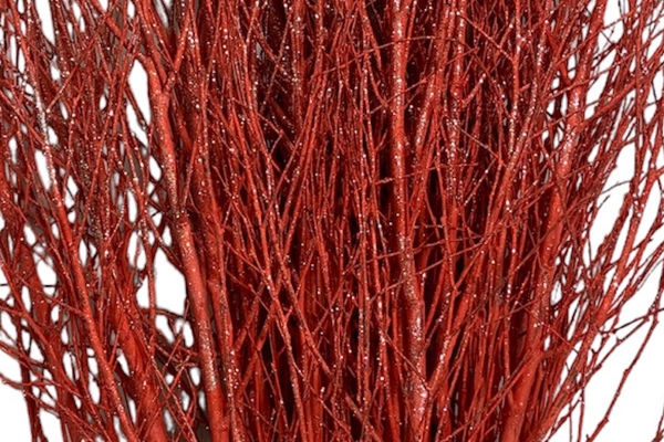 betulla metallizzata -                 rosso